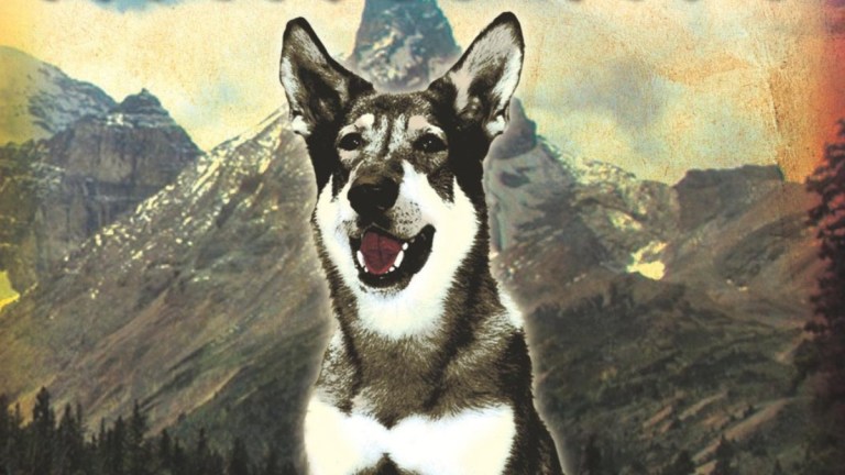 The Littlest Hobo series 1 dvd cover cropped